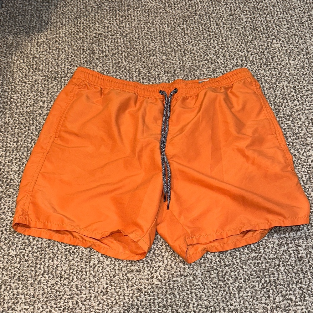 Hudson North Mens Swim Shorts